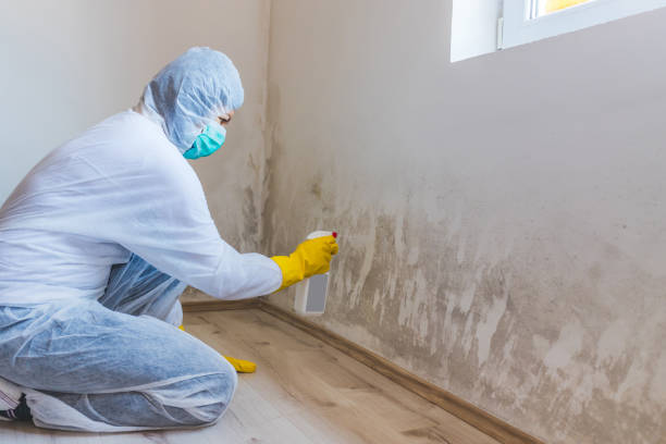 Licensed Crawl Space Mold Removal service in Palm Beach, FL - WQB Mold Removal