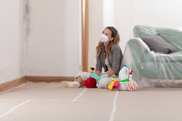 Reliable Crawl Space Mold Removal contractor in Palm Beach, FL by WQB Mold Removal